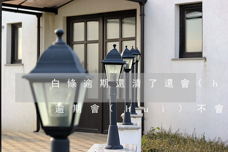 白條逾期還清了還會(huì)上門嗎(白條逾期會(huì)不會(huì)上門)