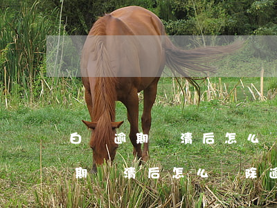 白條逾期還清后怎么刪除逾期記錄-白條逾期還清后怎么刪除逾期記錄呢