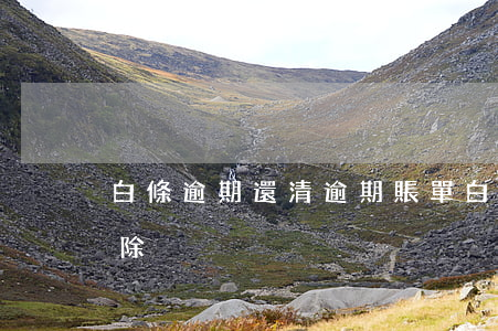 白條逾期還清逾期賬單(白條逾期記錄怎么刪除)