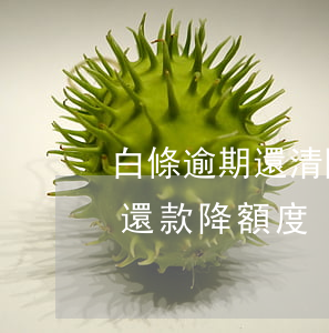 白條逾期還清降額成200了 白條逾期2天還款降額度