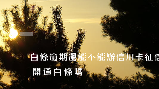 白條逾期還能不能辦信用卡(征信有逾期可以開通白條嗎)