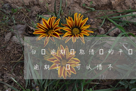 白條逾期還能借錢的平臺(tái)（秒白條逾期了還可以借不）