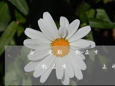 白條逾期還能在京東倉庫上班嗎-白條逾期還能在京東倉庫上班嗎安全嗎