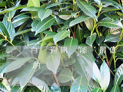 白條逾期還能還最低嗎 白條逾期 有沒有不還的