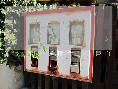 白條逾期金額計算(白條逾期多長時間會全額)