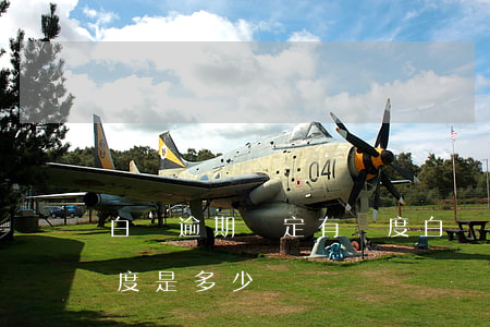 白條逾期鎖定有額度(白條逾期鎖定解除后額度是多少)