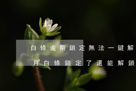 白條逾期鎖定無法一鍵解鎖(白條逾期一個多月白條鎖定了還能解鎖嗎)