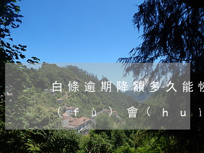 白條逾期降額多久能恢復(fù) 白條恢復(fù)會(huì)降額度嗎