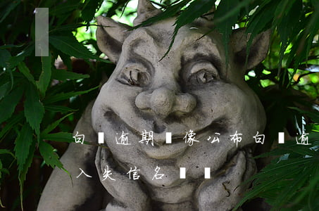 白條逾期頭像公布(白條逾期會進(jìn)入失信名單嗎)