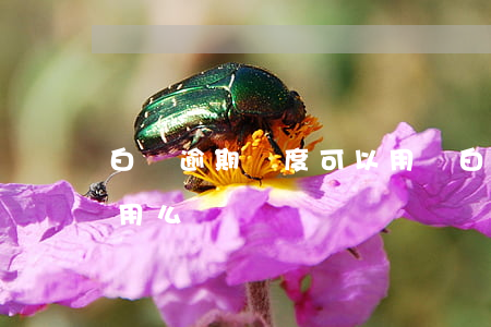 白條逾期額度可以用嗎 白條逾期還最低還能用么