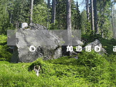 白條違約加微信（白條逾期微信添加好友）