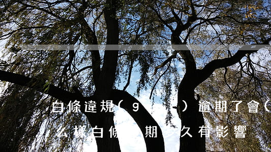 白條違規(guī)逾期了會(huì)怎么樣(白條逾期多久有影響)