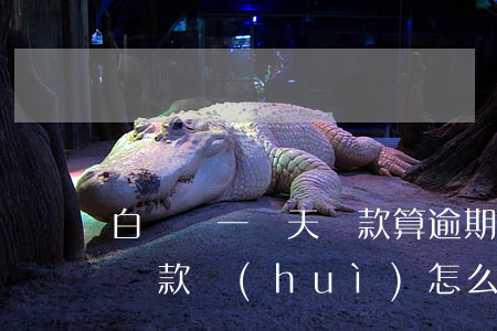 白條遲一兩天還款算逾期(白條還款逾期一天還款會(huì)怎么樣)