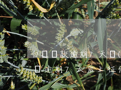 白條還款逾期7天會(huì)上征信嗎 白條逾期7天后上征信能自動(dòng)消除嗎