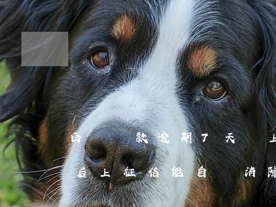 白條還款逾期7天會上征信嗎 白條逾期7天后上征信能自動消除嗎