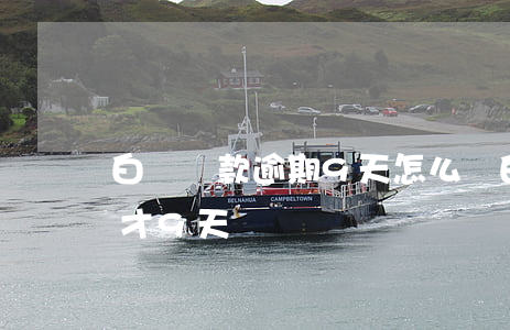 白條還款逾期9天怎么辦(白條還款日期怎么才9天)