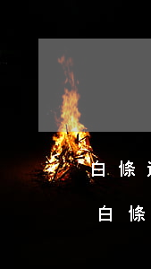 白條還款逾期一天還款會(huì)怎么樣（白條還款逾期怎么還）