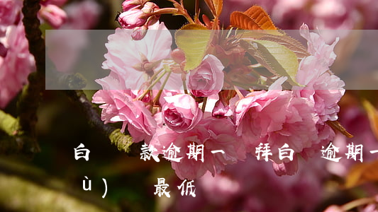 白條還款逾期一禮拜(白條逾期一天繼續(xù)還最低)