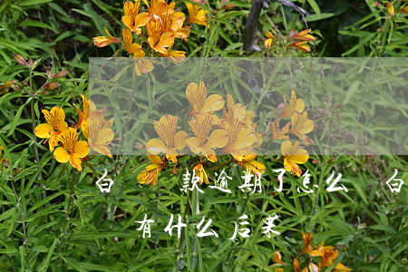 白條還款逾期了怎么辦(白條逾期半個月還款會有什么后果)