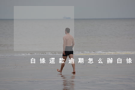 白條還款逾期怎么辦（白條逾期解決方法）
