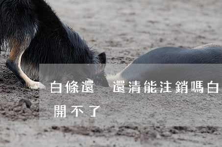 白條還沒還清能注銷嗎（白條逾期還清注銷了開不了）