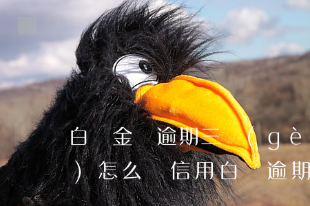 白條金條逾期三個(gè)月了會(huì)怎么樣（信用白條逾期3個(gè)月）