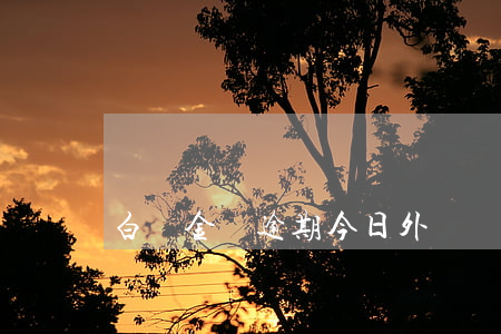 白條金條逾期今日外訪