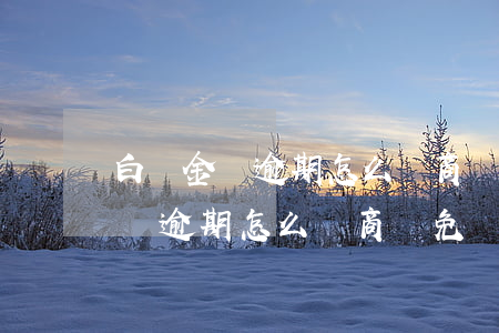 白條金條逾期怎么協商減免違約金-白條金條逾期怎么協商減免違約金呢