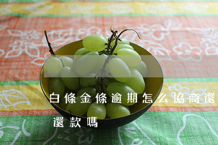 白條金條逾期怎么協商還款(金條逾期能協商還款嗎)