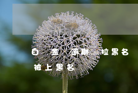 白條金條逾期會拉黑名單嗎(金條逾期多久會被上黑名單)