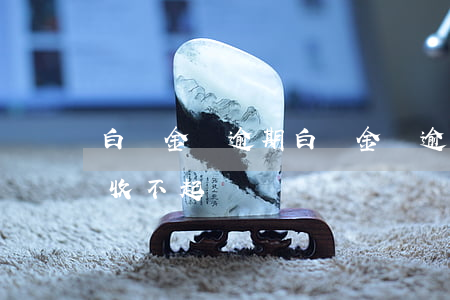白條金條逾期(白條金條逾期京東為什么只催收不起訴)