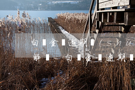 白條金條逾期說(shuō)什么下午必須解決-白條金條逾期說(shuō)什么下午必須解決呢