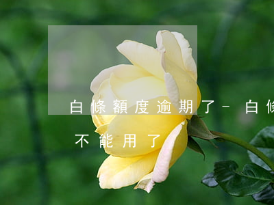 白條額度逾期了-白條逾期是不是有額度就不能用了