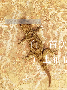 白條首次逾期(白條首次逾期多久會(huì)上征信)