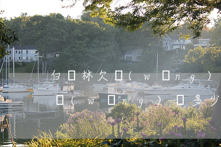 白樹林欠網(wǎng)貸多少錢(白樹林欠網(wǎng)貸多少錢)