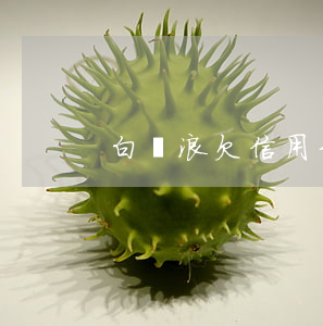 白紅浪欠信用卡