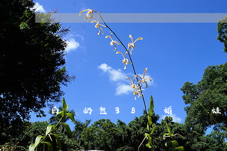 白給奶包38離婚帶兩娃