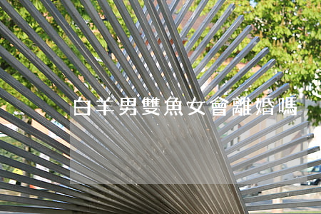 白羊男雙魚女會離婚嗎