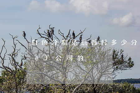 白色分期免息首付多少(分期白卡是哪個(gè)公司的)