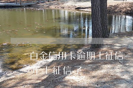 白金信用卡逾期上征信嗎-金條白條逾期半年上征信了嗎