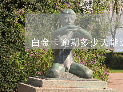 白金卡逾期多少天能還款