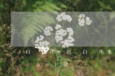 白銀市律師名單(白銀市朱萬(wàn)潤(rùn)律師)