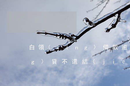 白領(lǐng)借款逾期-白領(lǐng)貸不還結(jié)果