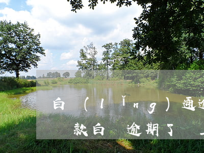 白領(lǐng)通逾期當(dāng)天還款(白條逾期了還上還能提現(xiàn)嗎)