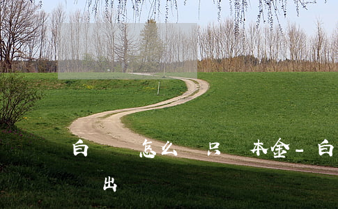 白領貸怎么樣只還本金-白領貸的錢怎么提現出來