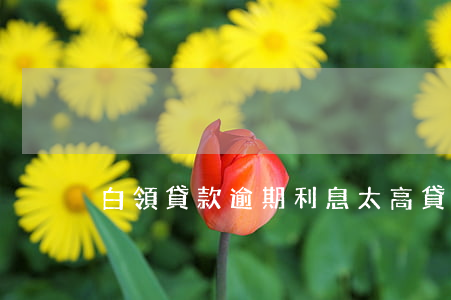 白領貸款逾期利息太高(貸款逾期限高)