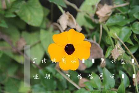 百信信用公眾號怎么查詢網(wǎng)貸逾期-百信信用公眾號怎么查詢網(wǎng)貸逾期記錄