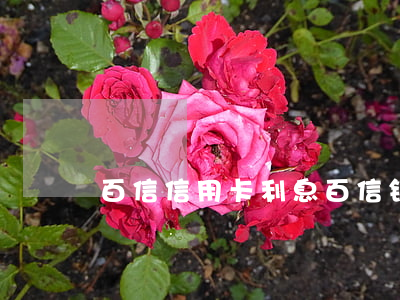 百信信用卡利息(百信银行储蓄卡利息高吗)