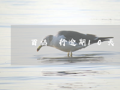 百信銀行逾期10天會上征信嗎-