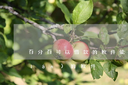 百分百可以借款的軟件（能百分百借到錢(qián)的軟件）